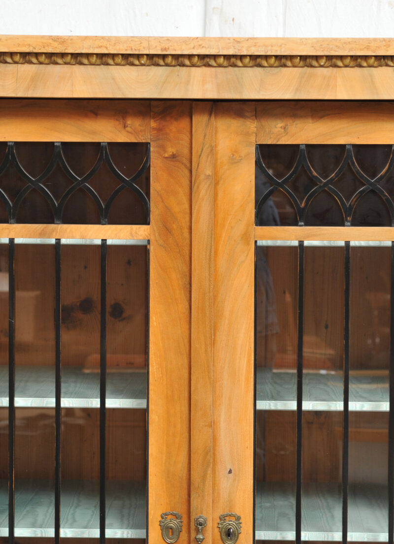 Herrschaftlicher Bibliotheksschrank Wiener Biedermeier